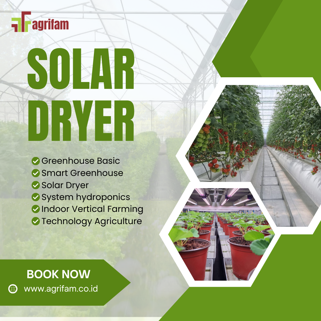 solar dryer