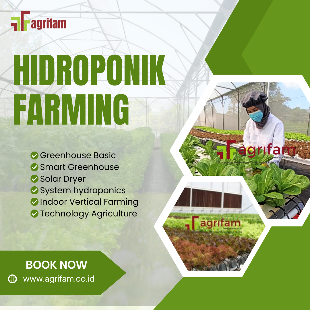 Hidroponik Farming
