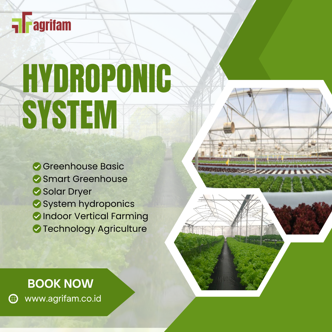 Hydroponic System