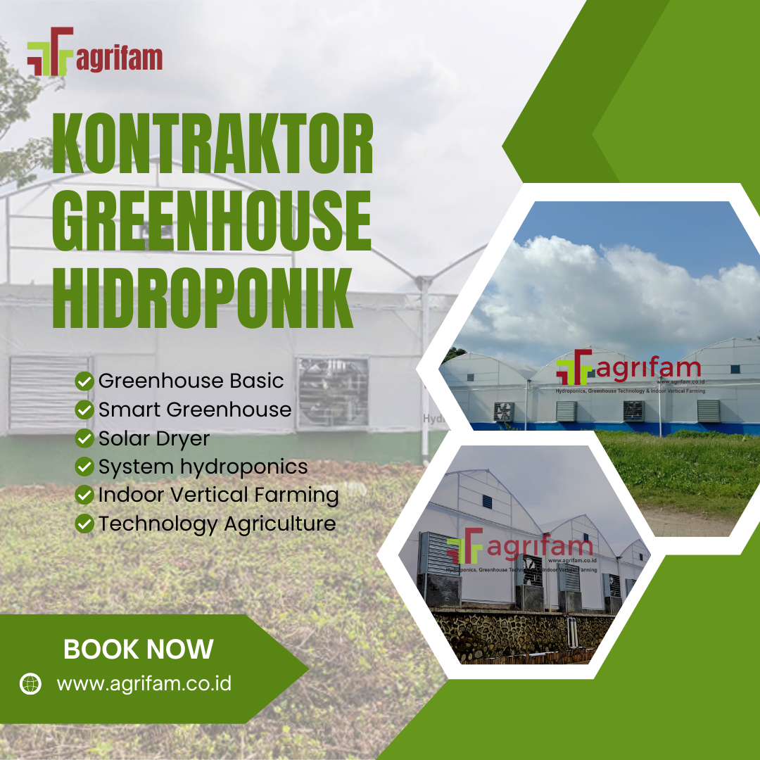 Kontraktor Greenhouse Hidroponik