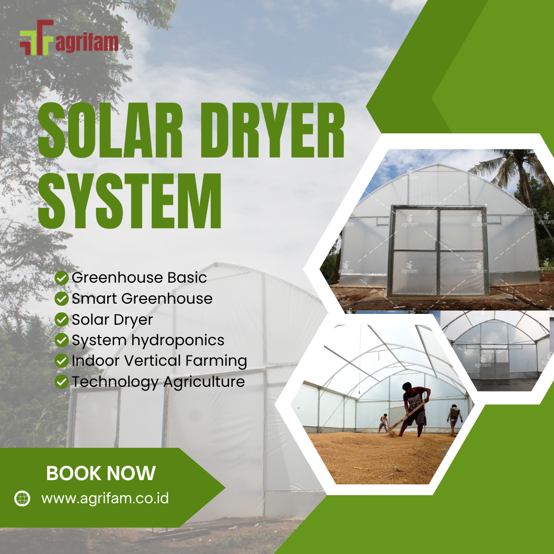 Solar Dryer System