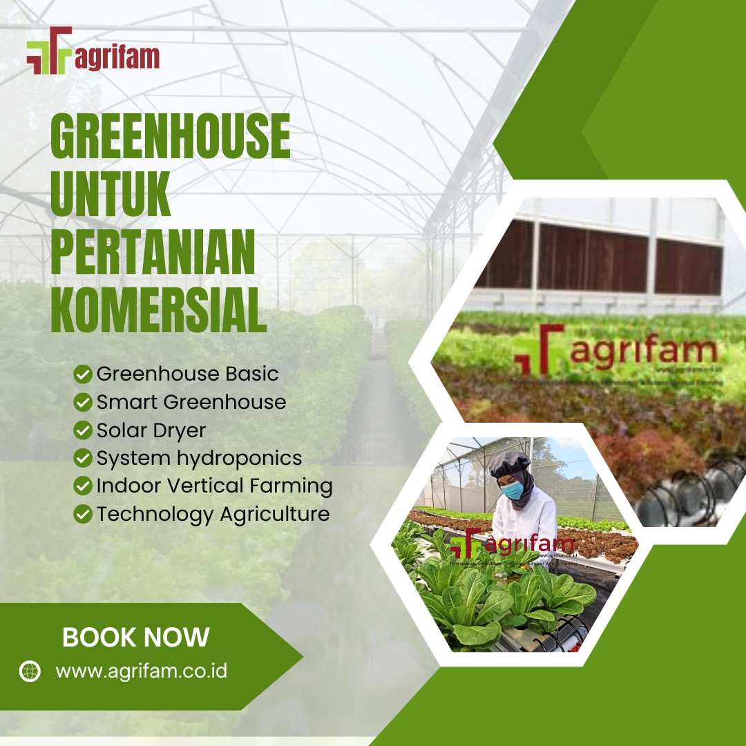Greenhouse untuk Pertanian Komersial