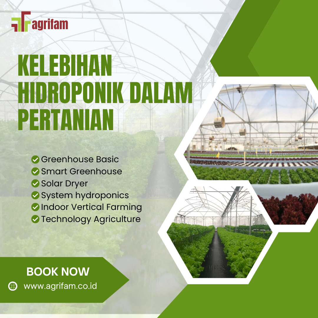 Kelebihan Hidroponik dalam Pertanian