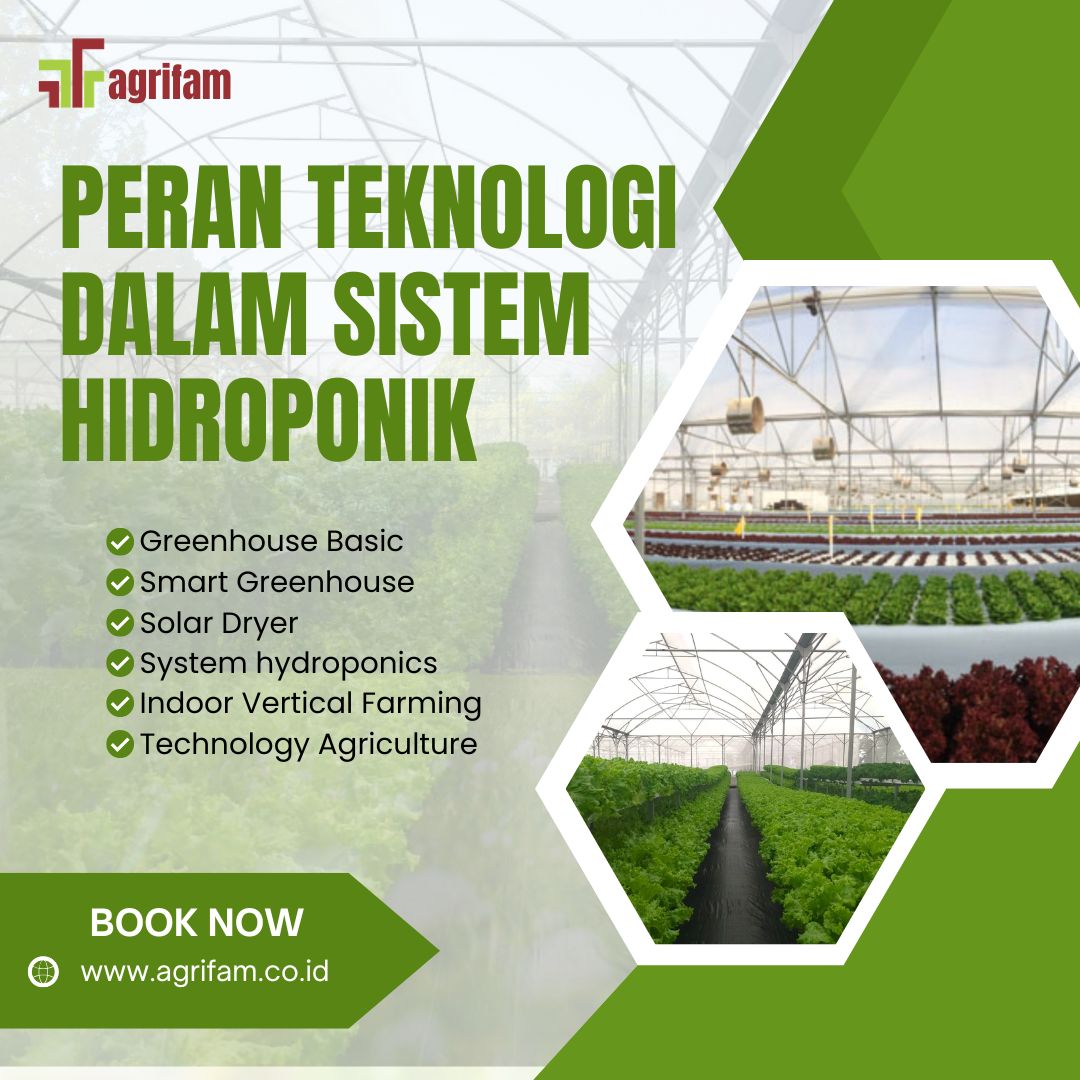 Peran Teknologi dalam Sistem Hidroponik