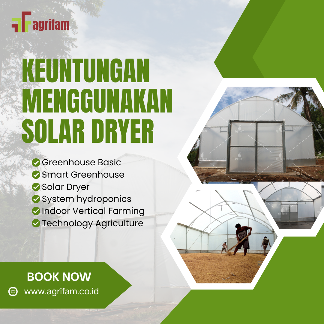 Keuntungan Menggunakan Solar Dryer
