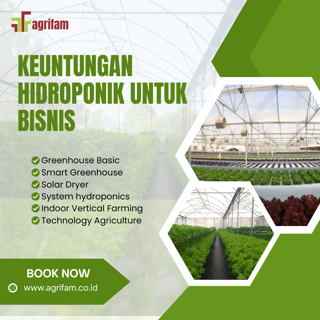 Keuntungan Hidroponik untuk Bisnis