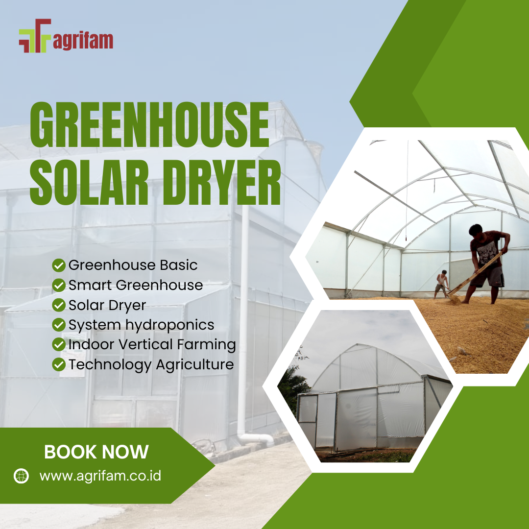Greenhouse Solar Dryer