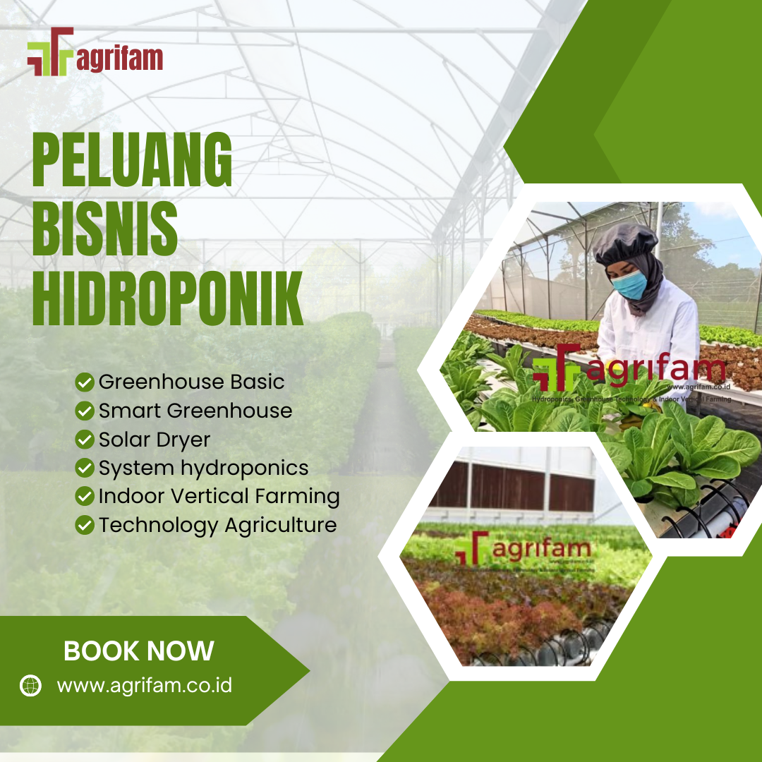 Peluang Bisnis Hidroponik